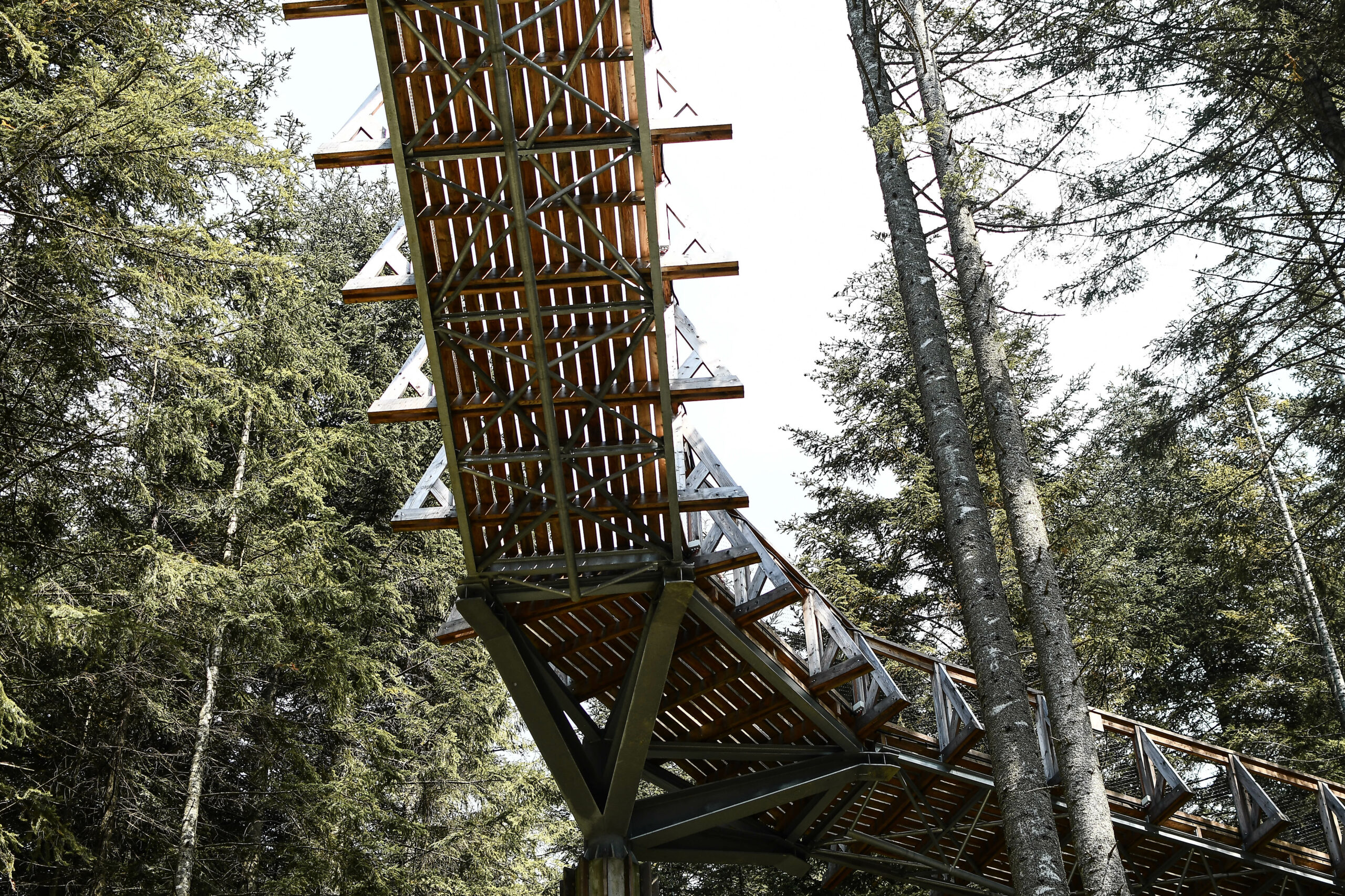 Zdjęcie 1