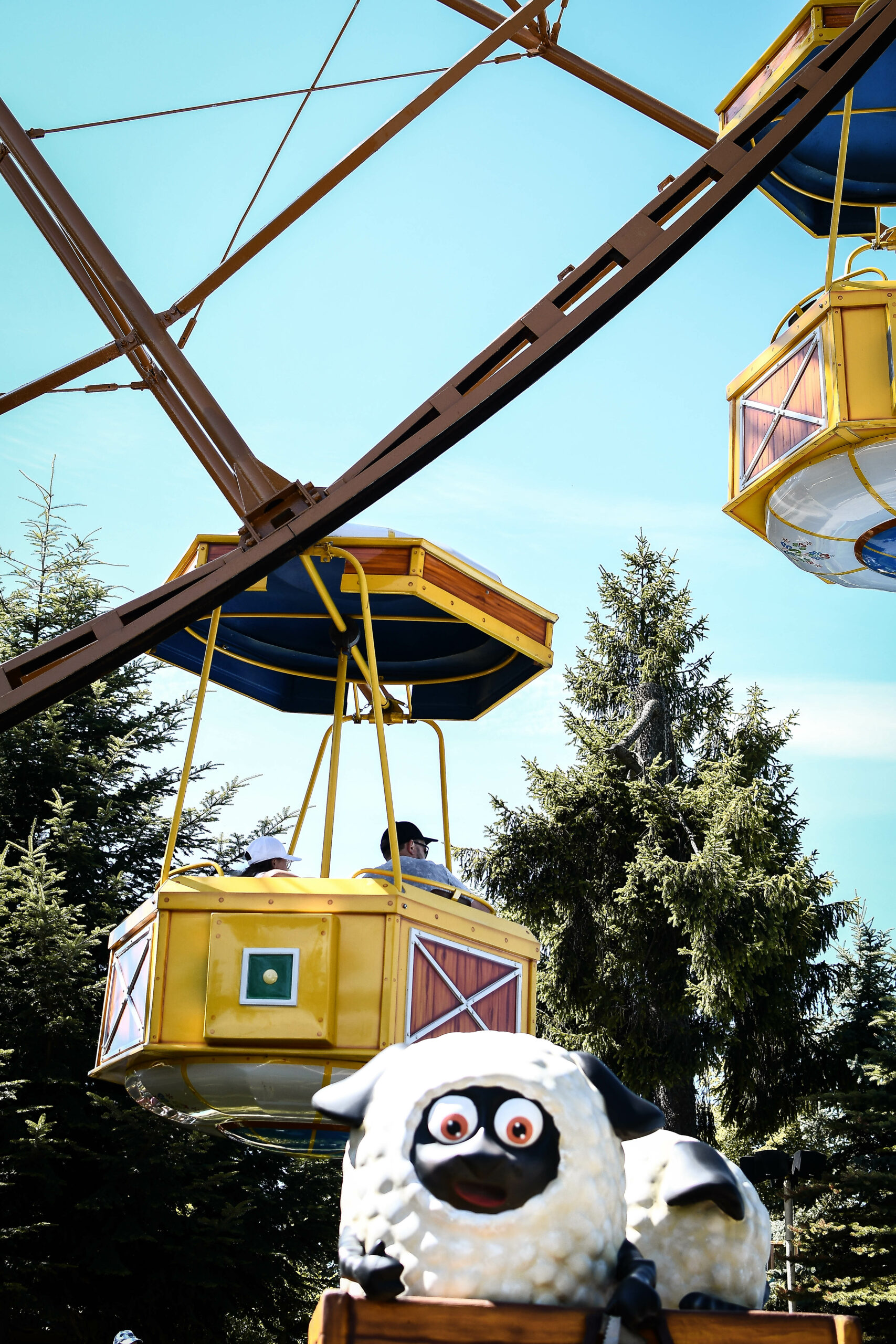 Zdjęcie 2